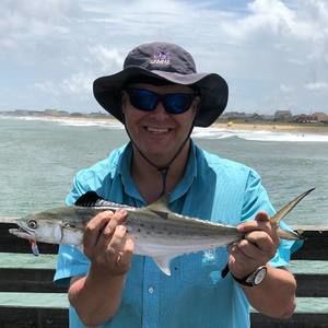 Meet your Posher, Steve